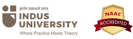 Indus University